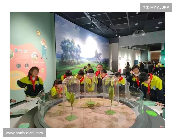 如何科学高效地规划外域探索之旅并确保全程安全与成功 如何科学高效地规划外域探索之旅并确保全程安全与成功