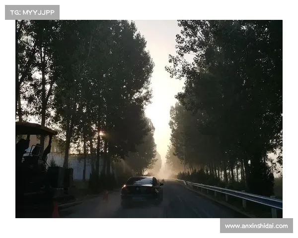 黑暗中的光芒:失明如何激发非凡创造力与独特思维 黑暗中的光芒:失明如何激发非凡创造力与独特思维