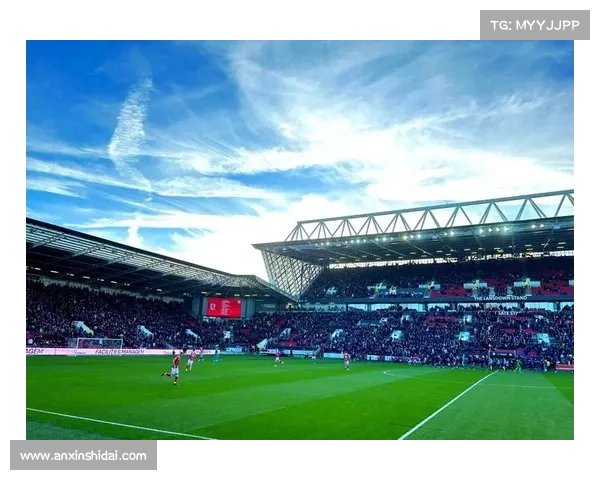 如何深入分析英冠联赛的真实格局与竞争态势